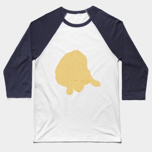 Golden Labrador saying Sorry Baseball T-Shirt